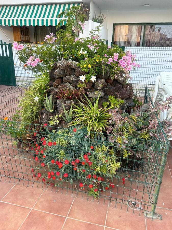 Maspalomas San Bartolomé Ngoại thất bức ảnh